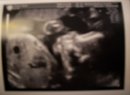 baby 23 w 1.jpg