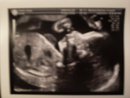 baby 23 w 2.jpg