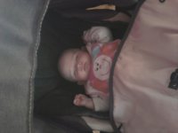 Sleeping in her Pram.jpg