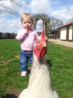 Romilly & Ronnie.jpg