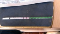 IMAG0594.jpg
