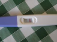 SAM_2012.jpg