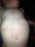 ImageUploadedByTapatalk1372779987.399691.jpg