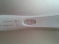 frer1.jpg