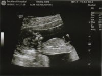 Scan 2 - 13-08-14.jpg