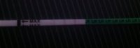OPK180813.jpg