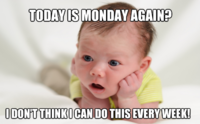 monday baby.png