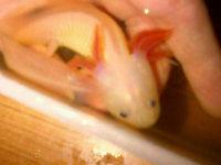 IMG_20131004_00221848.jpg