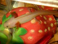 IMG_20131004_00221856.jpg