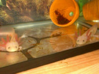 IMG_20131004_0022193.jpg