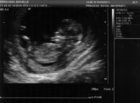 Shelly's baby.jpg