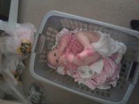 Tegan in the wash basket.jpg