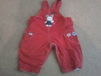 Pumpkin patch red Dungarees.jpg