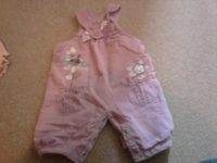 Lilac Dungarees.jpg