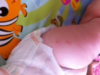 photo.JPG