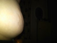 belly.jpg