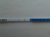 opk.jpg
