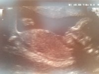 photo (53).JPG