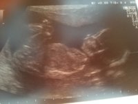 photo (56).JPG