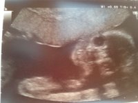 photo (58).JPG