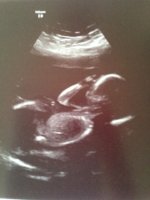 19w6days full.jpg