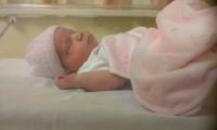 Hayley - 1 day old.jpg