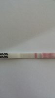 opk 14cd.jpg