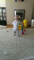 uploadfromtaptalk1399892806150.jpg