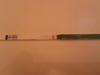 cd14.jpg