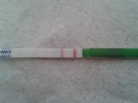 cd15.jpg