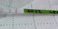 20140613_140441.jpg