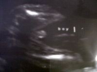 IMG00063-20110415-0954.jpg