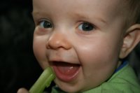 IMG_8360a.JPG