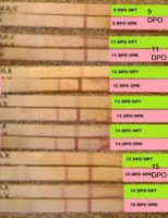 OPK vs HPT.jpg