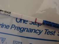 03-05-11 10DPO (2).jpg