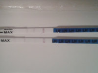 OPK.jpg