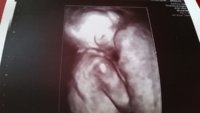 24w3d 4d scan.jpg