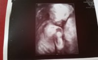 24w3d 4d scan take2.jpg