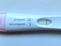 ImageUploadedByTapatalk1409126656.197395.jpg