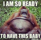 ready.jpg