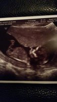 12+3 scan.jpg