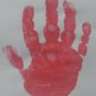 RoseBudda